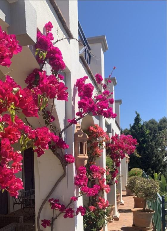 Benahavís Boutique Hotel Maravilla - Marbella מראה חיצוני תמונה