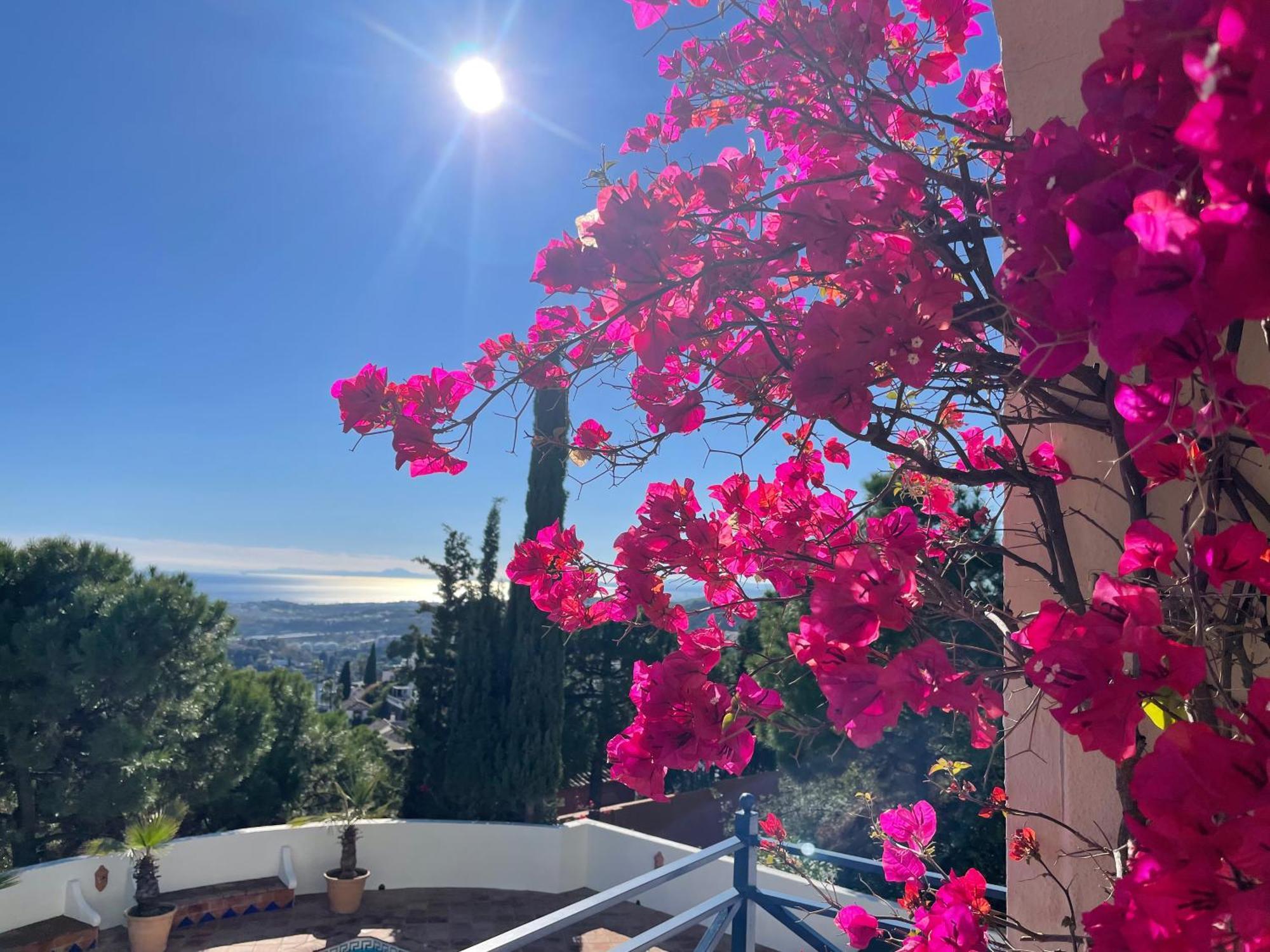 Benahavís Boutique Hotel Maravilla - Marbella מראה חיצוני תמונה