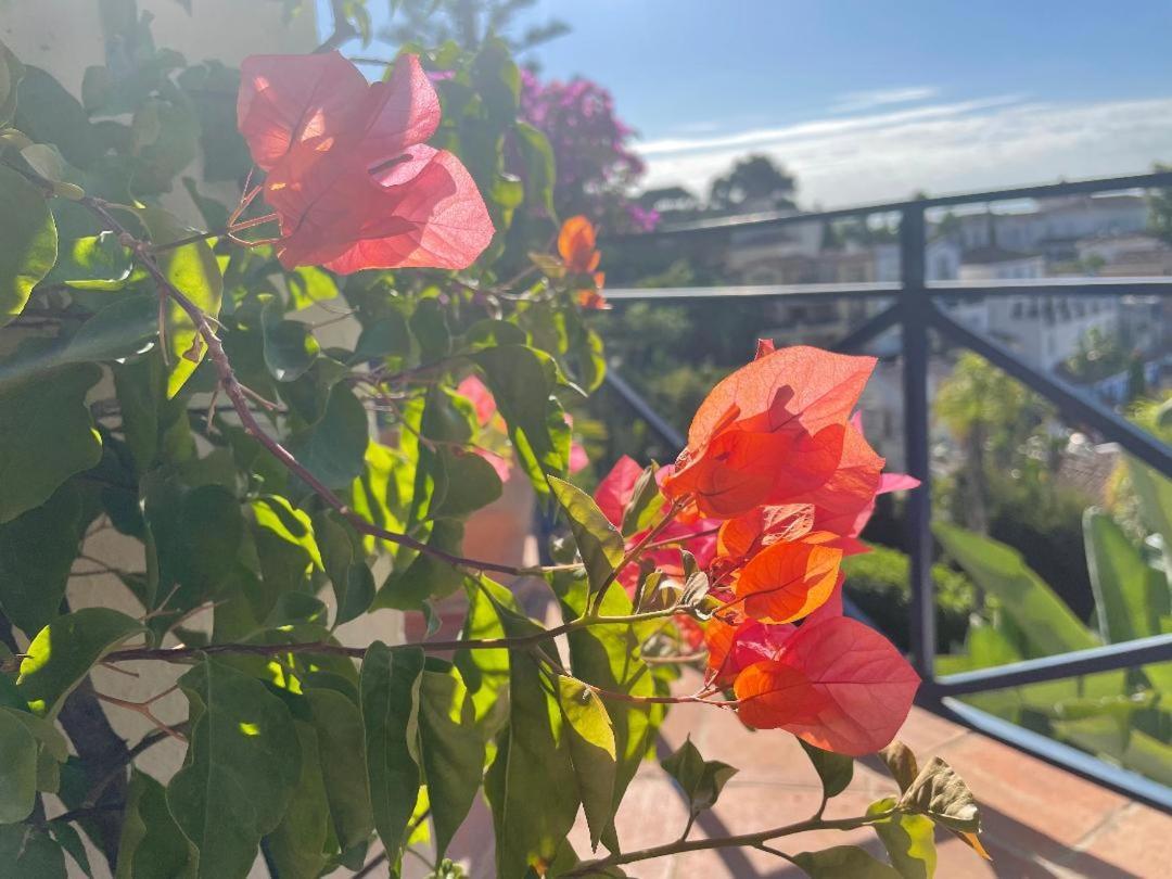 Benahavís Boutique Hotel Maravilla - Marbella מראה חיצוני תמונה