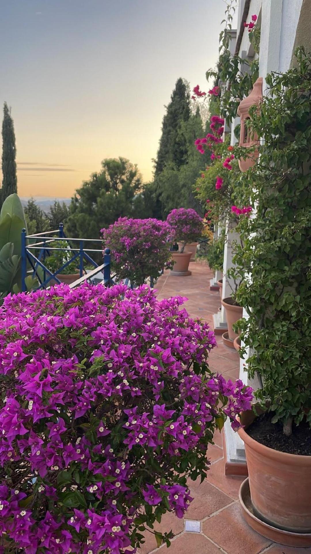 Benahavís Boutique Hotel Maravilla - Marbella מראה חיצוני תמונה
